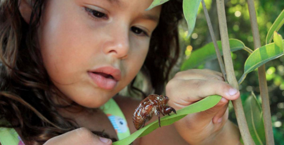 Screen Shot 2015-04-16 at 4.04.55 PM