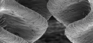 Screen Shot 2015-12-11 at 3.10.49 PM