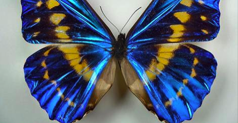 Screen Shot 2016-02-03 at 8.31.05 PM