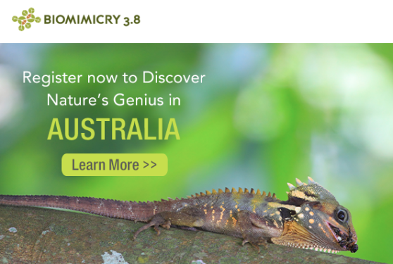 Screen Shot 2016-05-18 at 10.56.42 AM