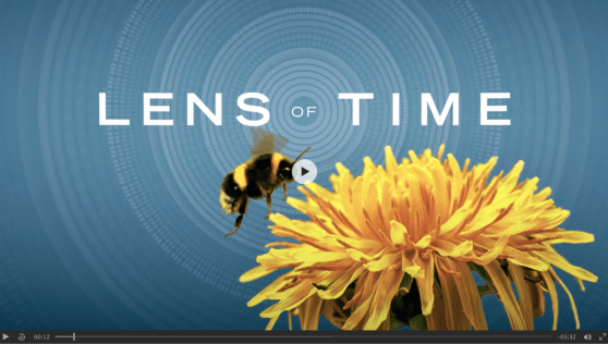 Screen Shot 2016-07-19 at 7.09.44 PM