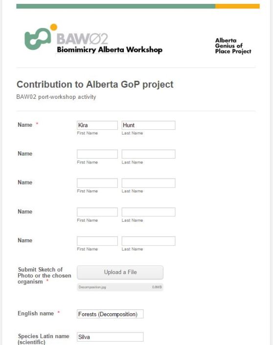 ba-template-screenshot-1