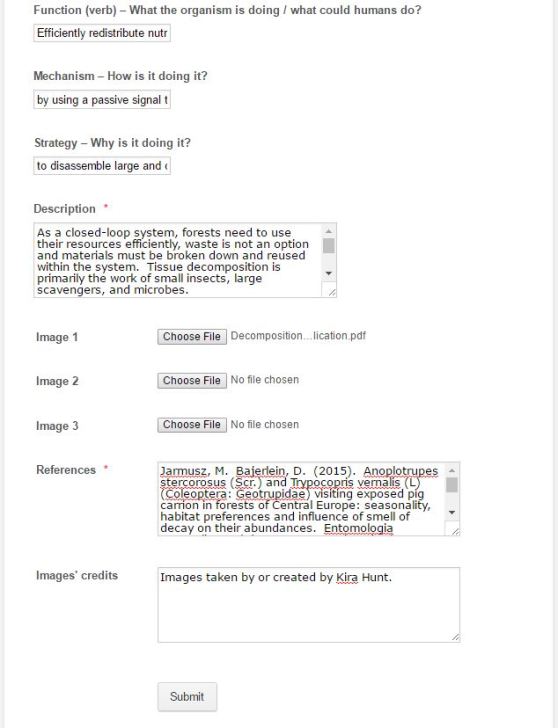 ba-template-screenshot-2