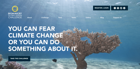 screen-shot-2016-10-18-at-3-26-55-pm