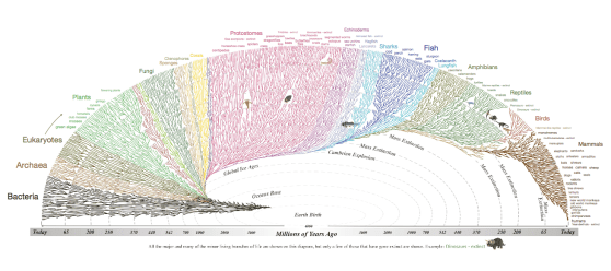 screen-shot-2016-12-31-at-7-22-25-pm