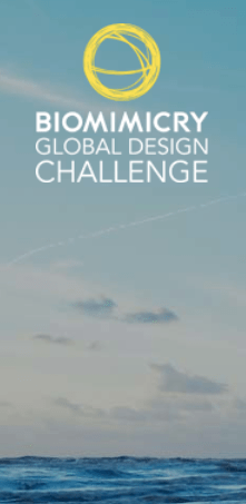 Screen Shot 2017-03-12 at 10.13.48 AM