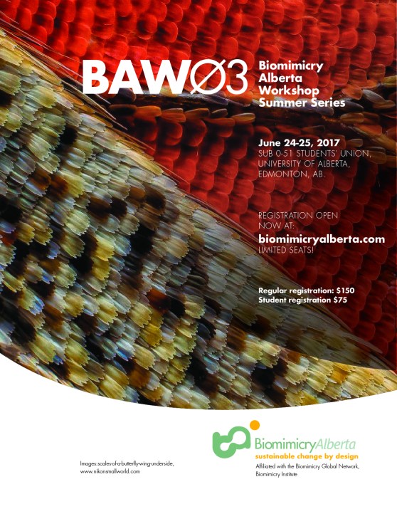 BAW03_poster2 copy-02