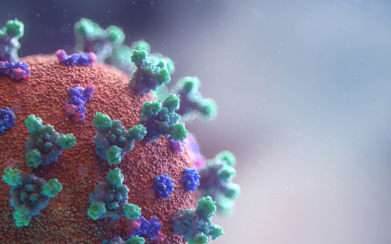 Screen Shot 2020-04-02 at 9.55.35 AM